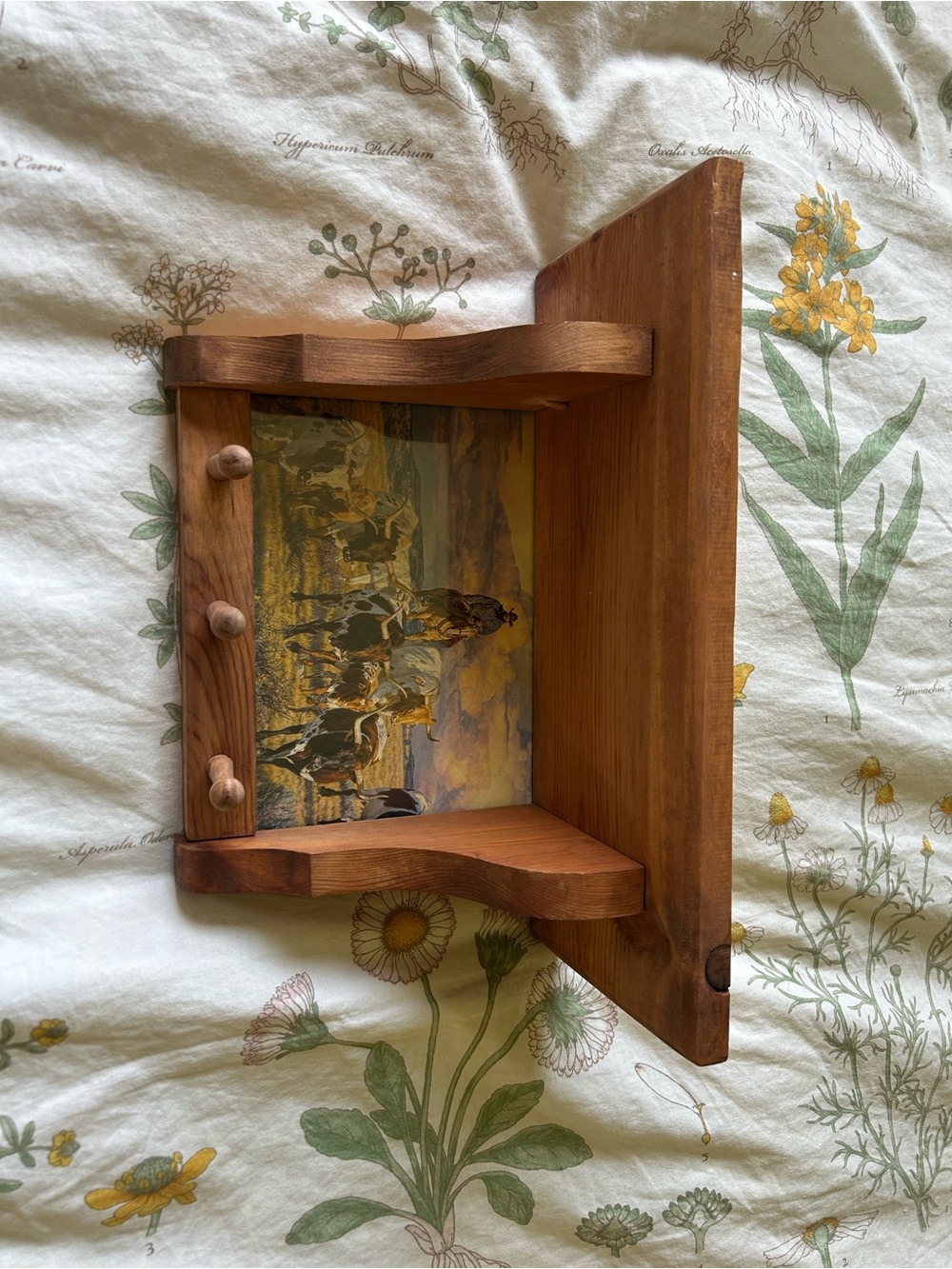 Wooden Wall Shelf with Rustic Brown Finish and Scenic Back Panel